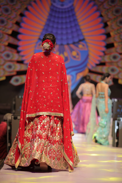Red Bridle Lehnga Choli (Sold Out)